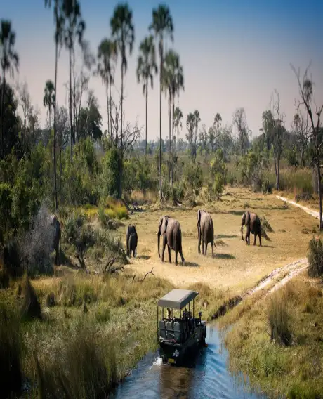 Chobe