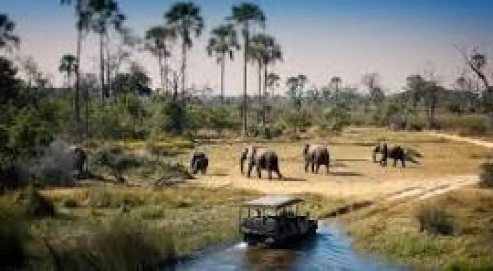 Chobe Day Trip - Guided Tour